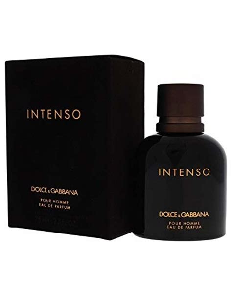 intenso dolce gabbana erfahrung|intenso dolce gabbana 100 ml.